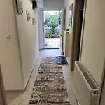 Dino Daire Saraybosna
