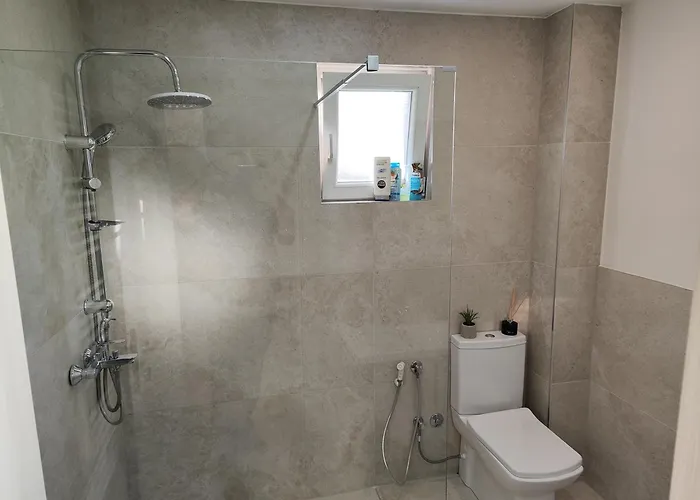 公寓 Dino 塞拉耶佛